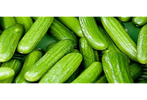 Green Fingers Persian Cucumbers